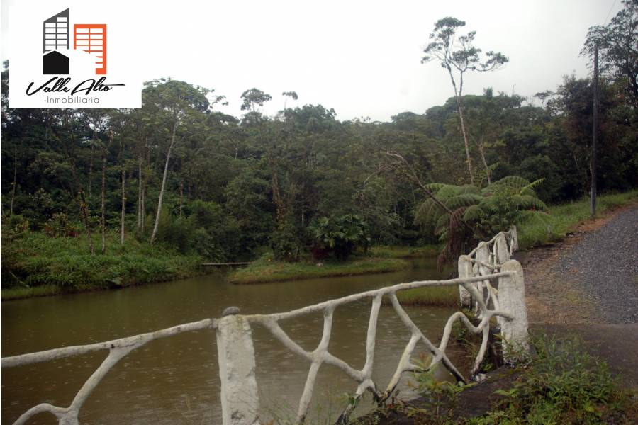 Puyo, PASTAZA, Ecuador, ,Lotes-Terrenos,Venta,42859