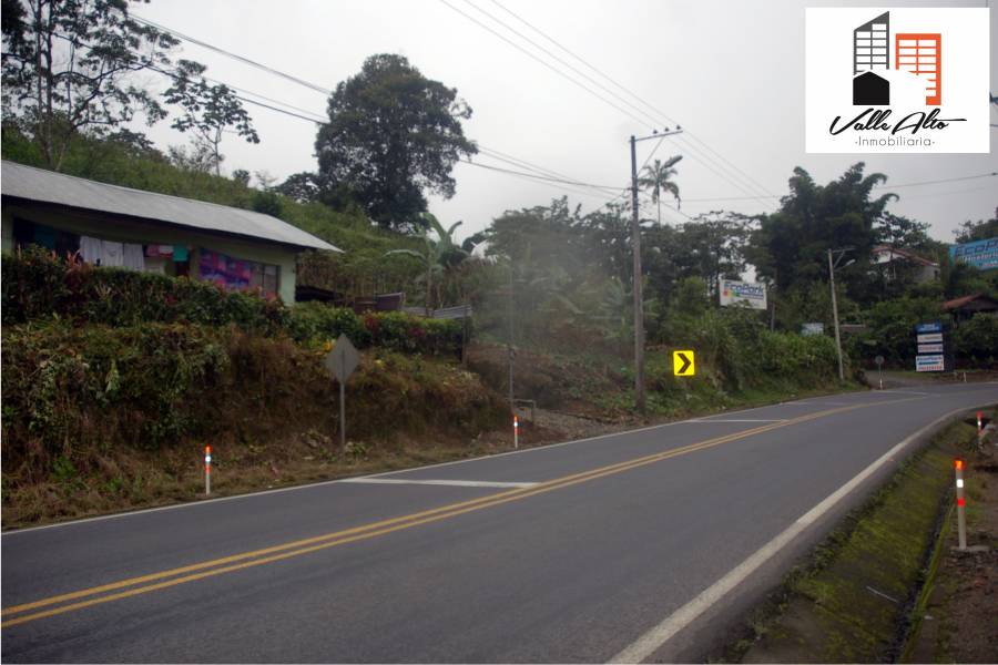 Puyo, PASTAZA, Ecuador, ,Lotes-Terrenos,Venta,42859