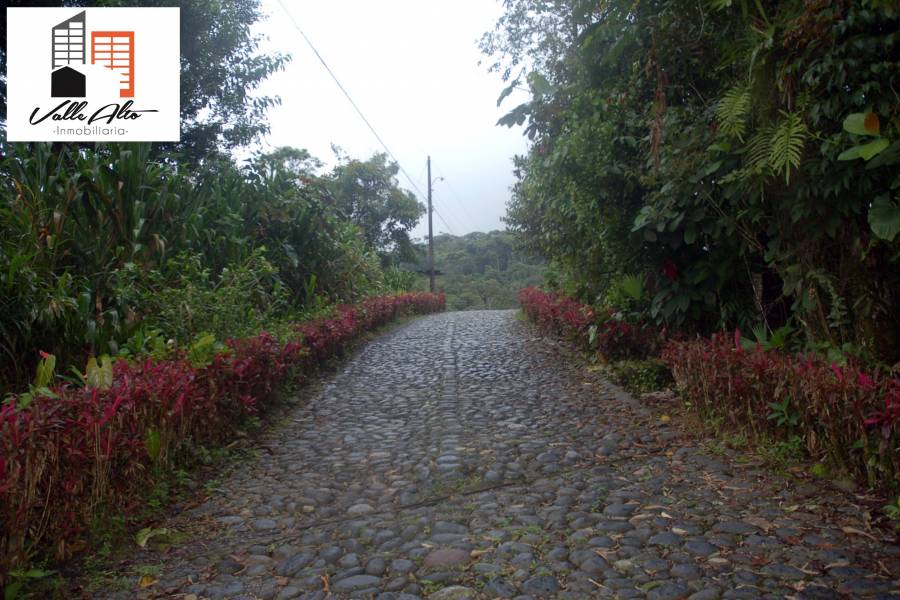 Puyo, PASTAZA, Ecuador, ,Lotes-Terrenos,Venta,42859