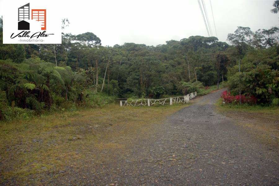 Puyo, PASTAZA, Ecuador, ,Lotes-Terrenos,Venta,42859