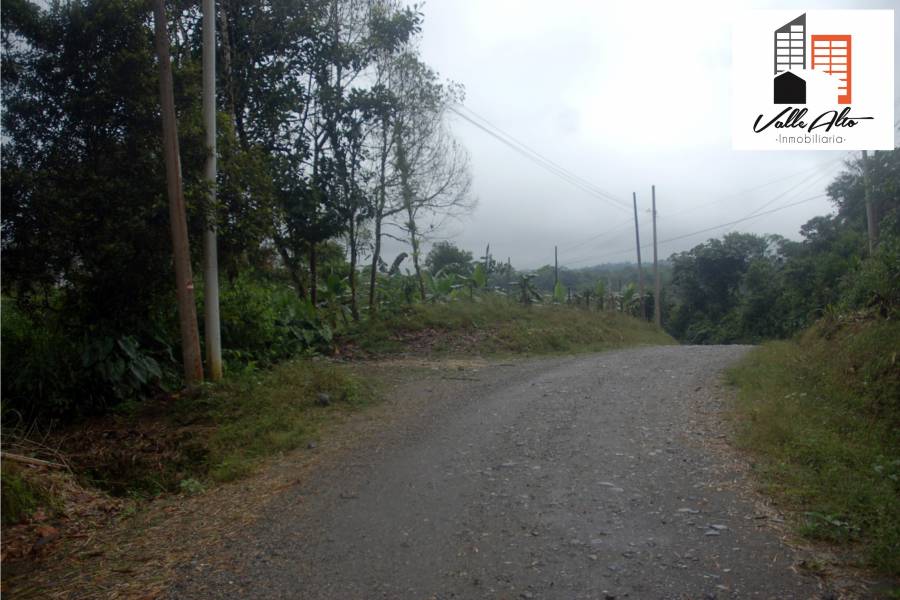 Puyo, PASTAZA, Ecuador, ,Lotes-Terrenos,Venta,42859