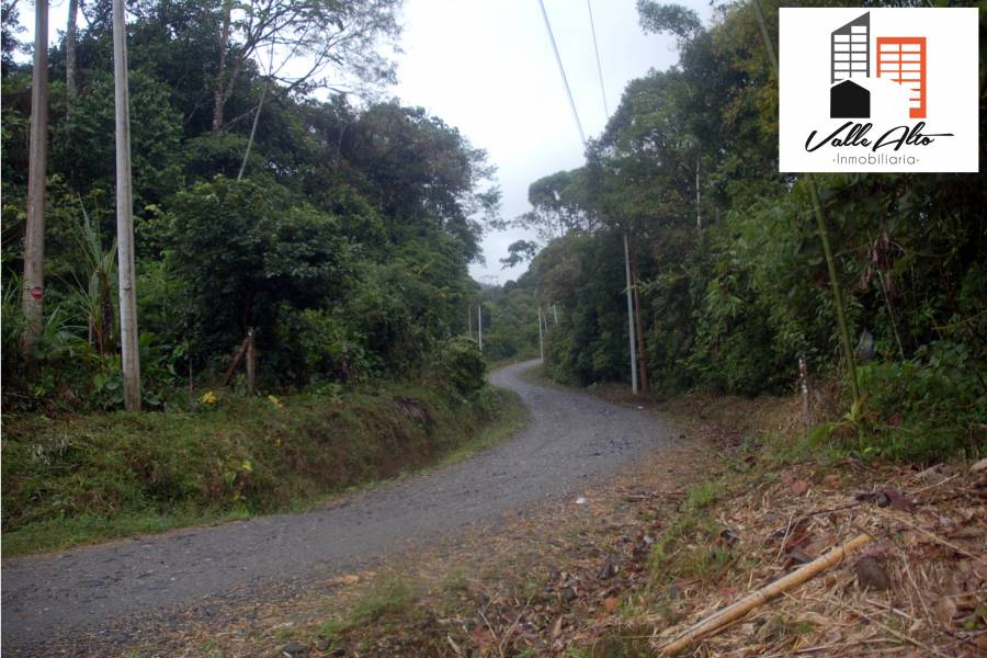 Puyo, PASTAZA, Ecuador, ,Lotes-Terrenos,Venta,42859
