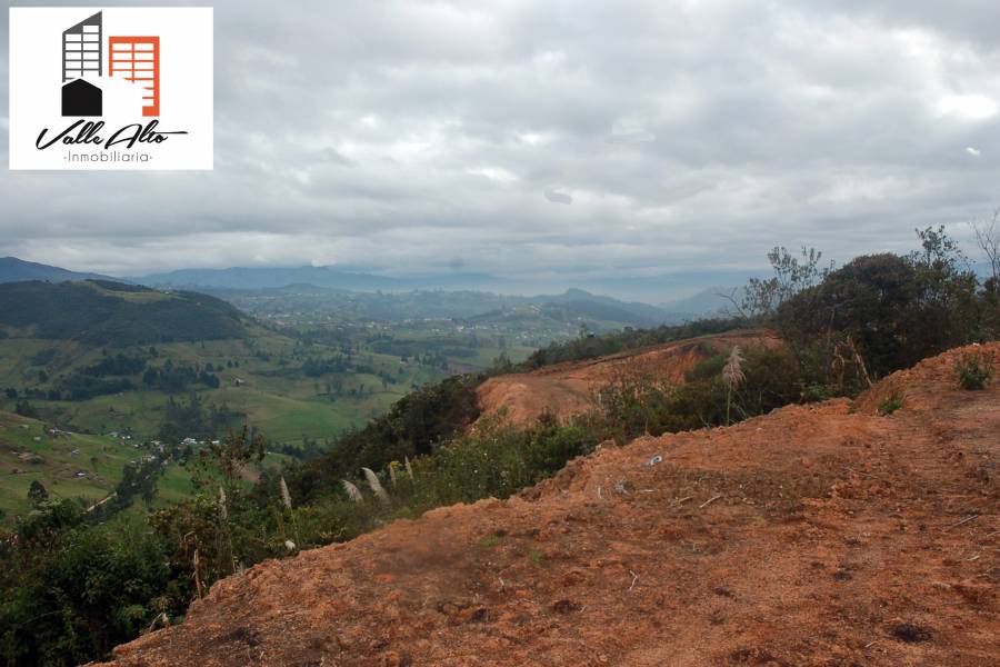 Cuenca, AZUAY, Ecuador, ,Lotes-Terrenos,Venta,Panamericana Sur,42942