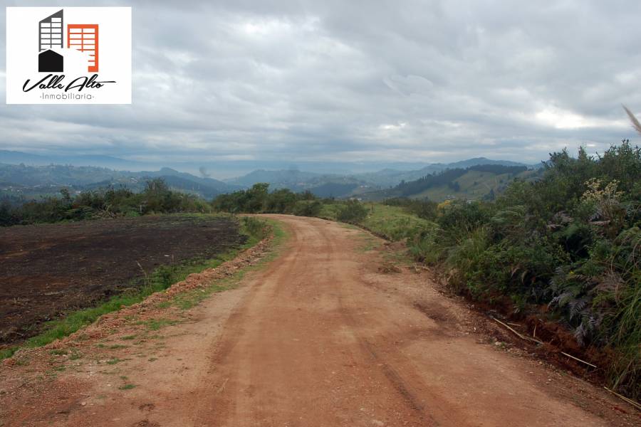 Cuenca, AZUAY, Ecuador, ,Lotes-Terrenos,Venta,Panamericana Sur,42942