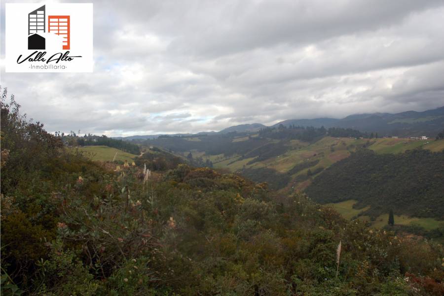 Cuenca, AZUAY, Ecuador, ,Lotes-Terrenos,Venta,Panamericana Sur,42942