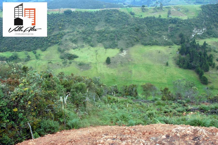 Cuenca, AZUAY, Ecuador, ,Lotes-Terrenos,Venta,Panamericana Sur,42942