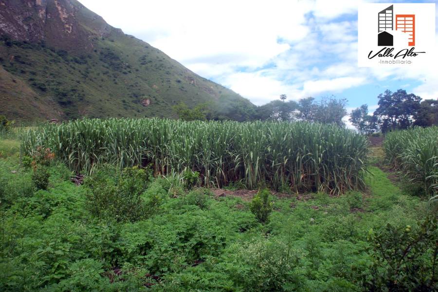 Cuenca, AZUAY, Ecuador, ,Lotes-Terrenos,Venta,Via Giron Pasaje.,43031