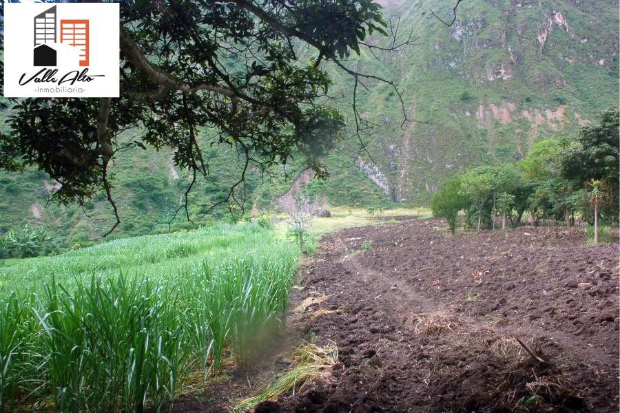 Cuenca, AZUAY, Ecuador, ,Lotes-Terrenos,Venta,Via Giron Pasaje.,43031