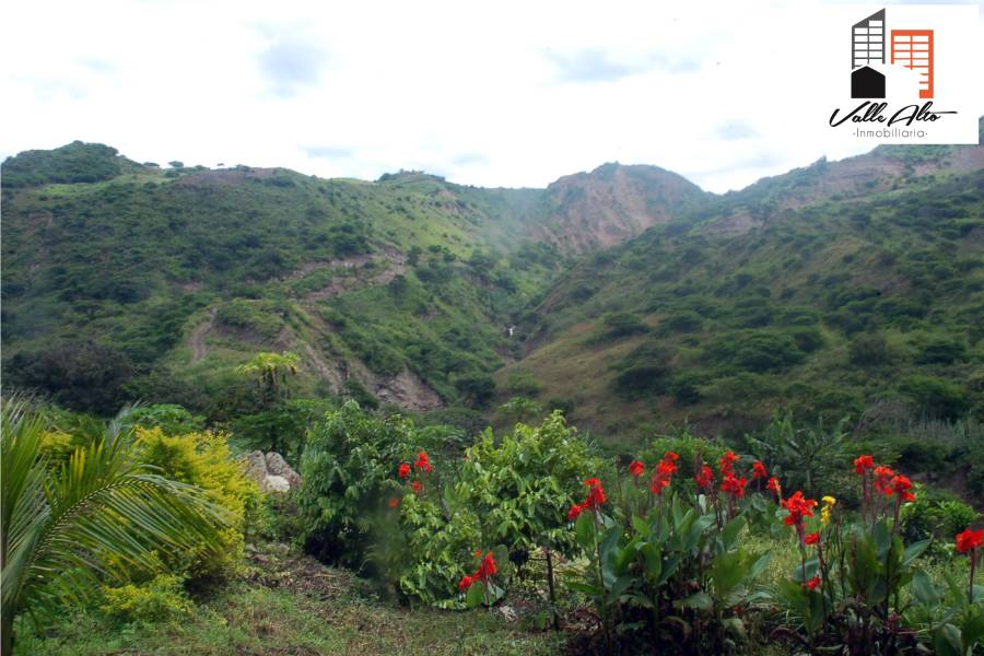 Cuenca, AZUAY, Ecuador, ,Lotes-Terrenos,Venta,Via Giron Pasaje.,43031