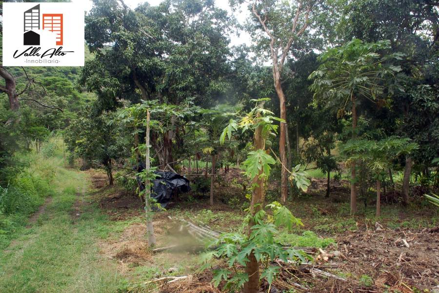 Cuenca, AZUAY, Ecuador, ,Lotes-Terrenos,Venta,Via Giron Pasaje.,43031