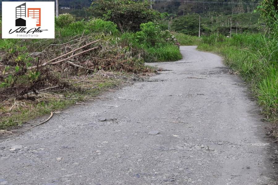 MACAS, MORONA SANTIAGO, Ecuador, ,Lotes-Terrenos,Venta,Via Macas Riobamba.,43038