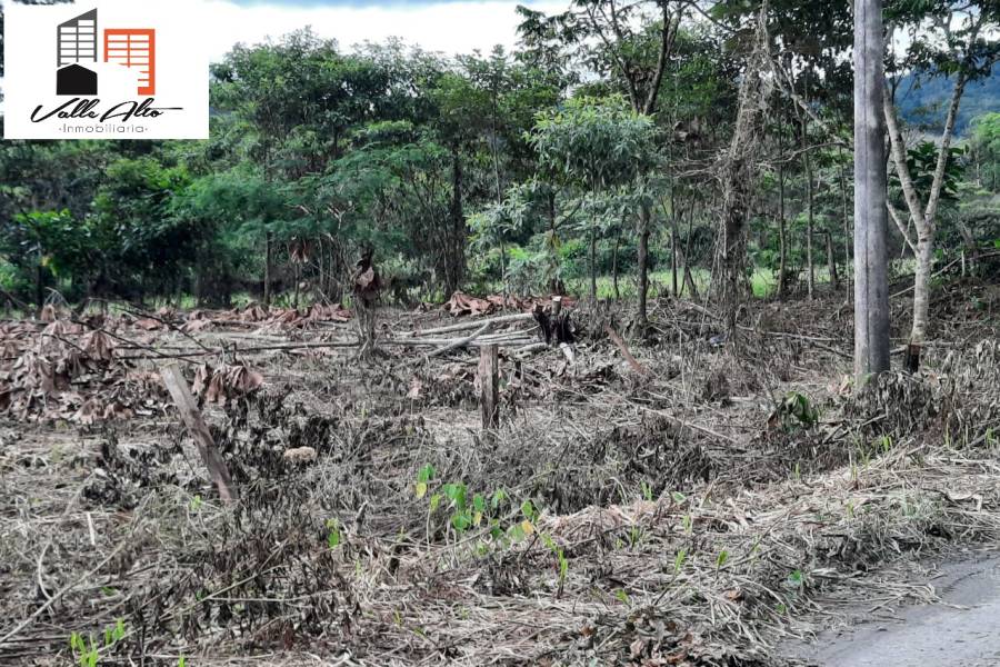 MACAS, MORONA SANTIAGO, Ecuador, ,Lotes-Terrenos,Venta,Via Macas Riobamba.,43038