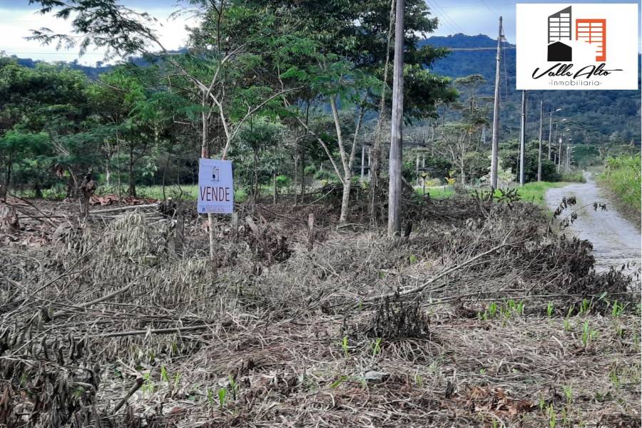 MACAS, MORONA SANTIAGO, Ecuador, ,Lotes-Terrenos,Venta,Via Macas Riobamba.,43038