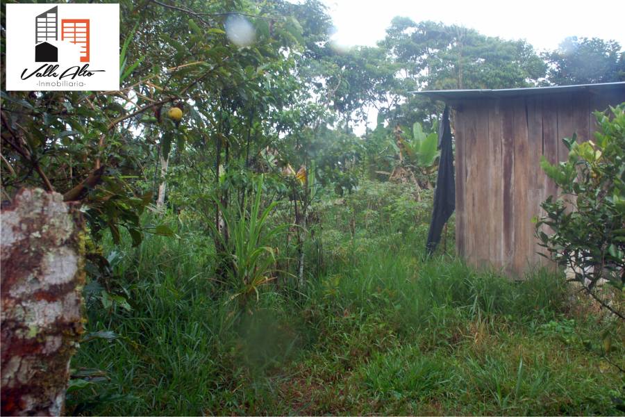 Macas, MORONA SANTIAGO, Ecuador, ,Lotes-Terrenos,Venta,Via al Puyo.,43040