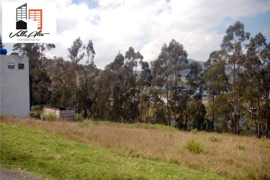 Cuenca., Cuenca, España, ,Lotes-Terrenos,Venta,43059