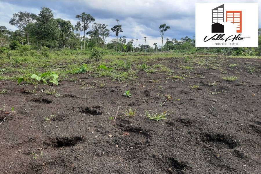 Taisha, Cuenca, España, ,Quinta,Venta,Via Macas-Puyo.,2,43071