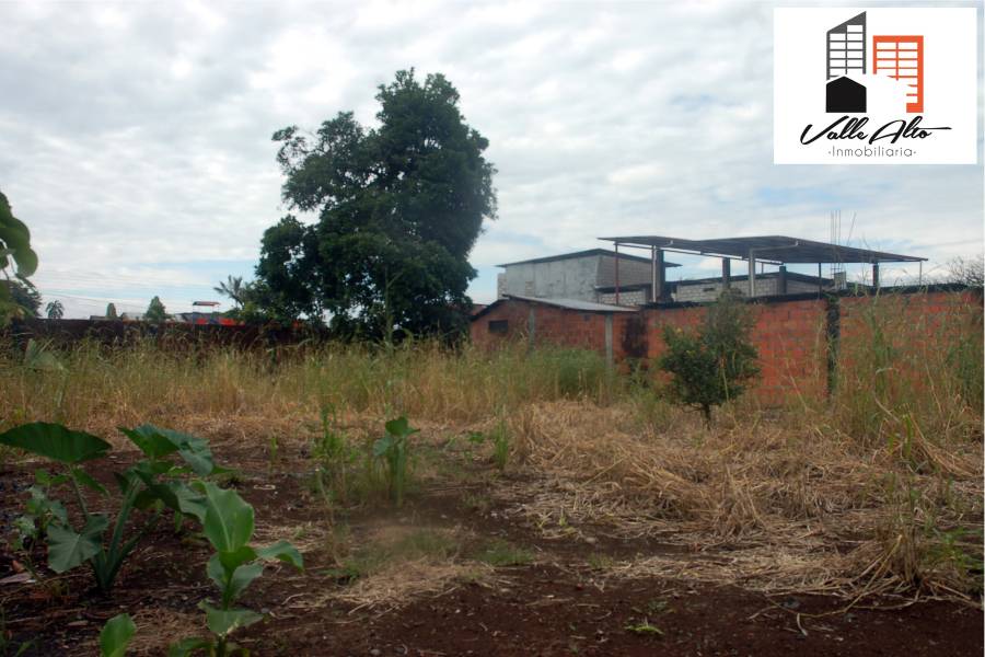 Macas., Cuenca, España, ,Lotes-Terrenos,Venta,Manuel Bejarano.,43149