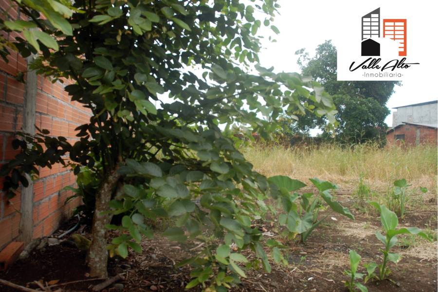 Macas., Cuenca, España, ,Lotes-Terrenos,Venta,Manuel Bejarano.,43149