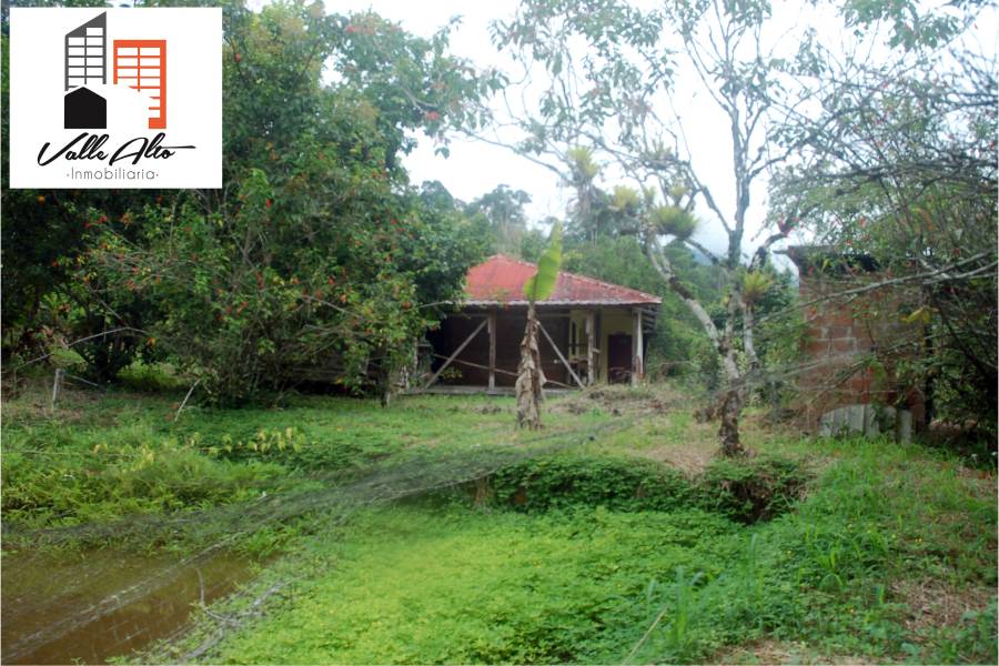 El Pangui, New York, USA, ,Lotes-Terrenos,Venta,1,43201