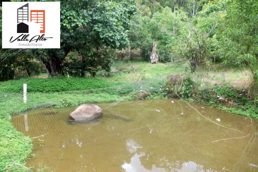 El Pangui, New York, USA, ,Lotes-Terrenos,Venta,1,43201