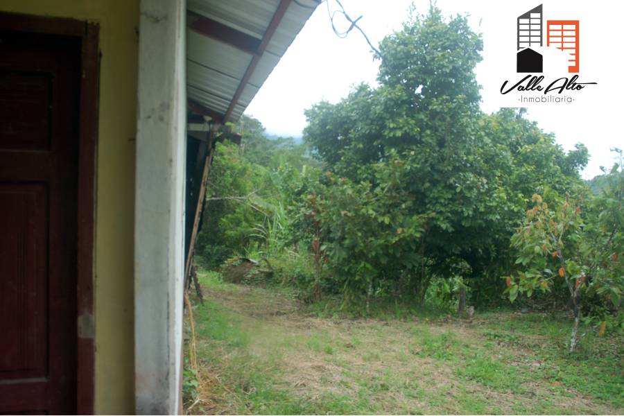 El Pangui, New York, USA, ,Lotes-Terrenos,Venta,1,43201