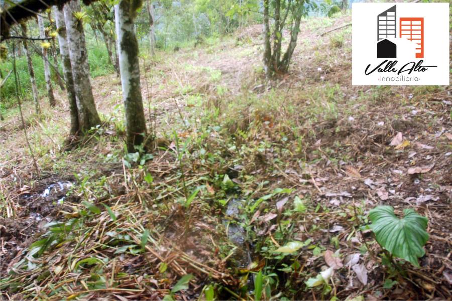 El Pangui, New York, USA, ,Lotes-Terrenos,Venta,1,43201