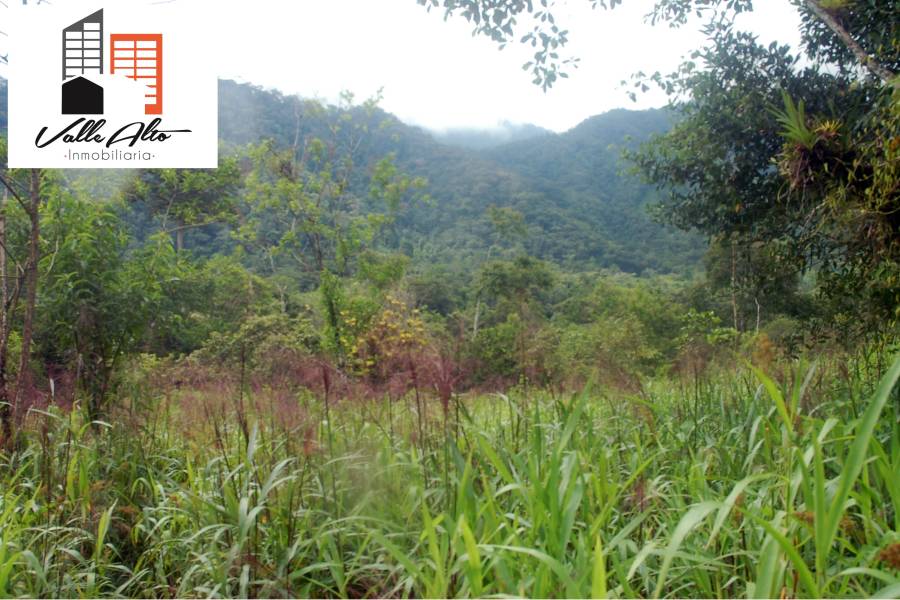 El Pangui, New York, USA, ,Lotes-Terrenos,Venta,1,43201