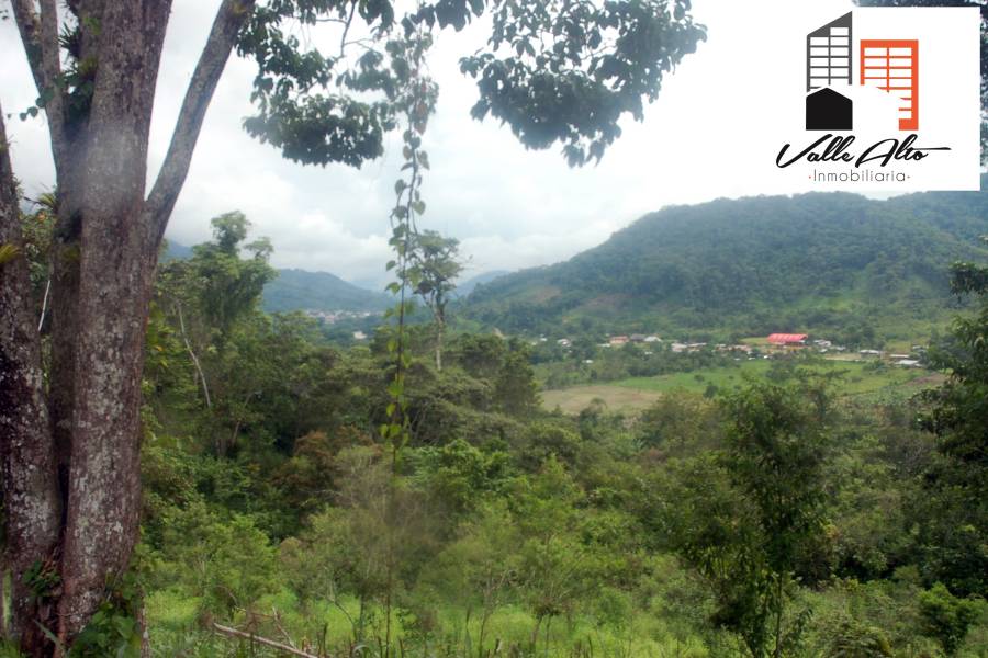 El Pangui, New York, USA, ,Lotes-Terrenos,Venta,1,43201