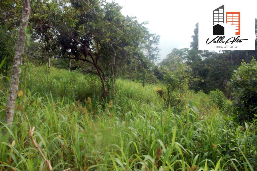 El Pangui, New York, USA, ,Lotes-Terrenos,Venta,1,43201