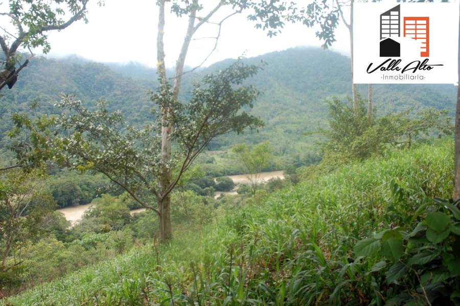 El Pangui, New York, USA, ,Lotes-Terrenos,Venta,1,43201
