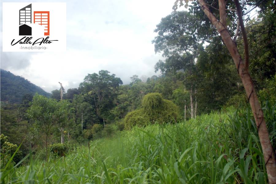 El Pangui, New York, USA, ,Lotes-Terrenos,Venta,1,43201