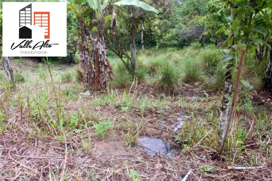 El Pangui, New York, USA, ,Lotes-Terrenos,Venta,1,43201