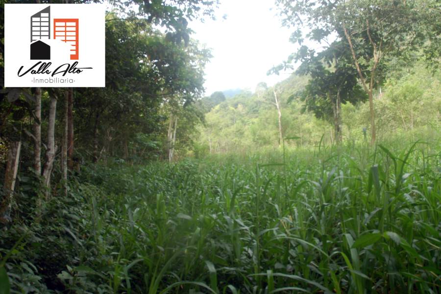 El Pangui, New York, USA, ,Lotes-Terrenos,Venta,1,43201