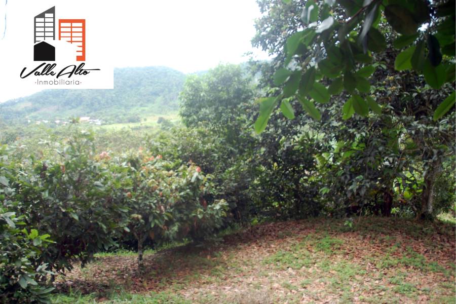 El Pangui, New York, USA, ,Lotes-Terrenos,Venta,1,43201