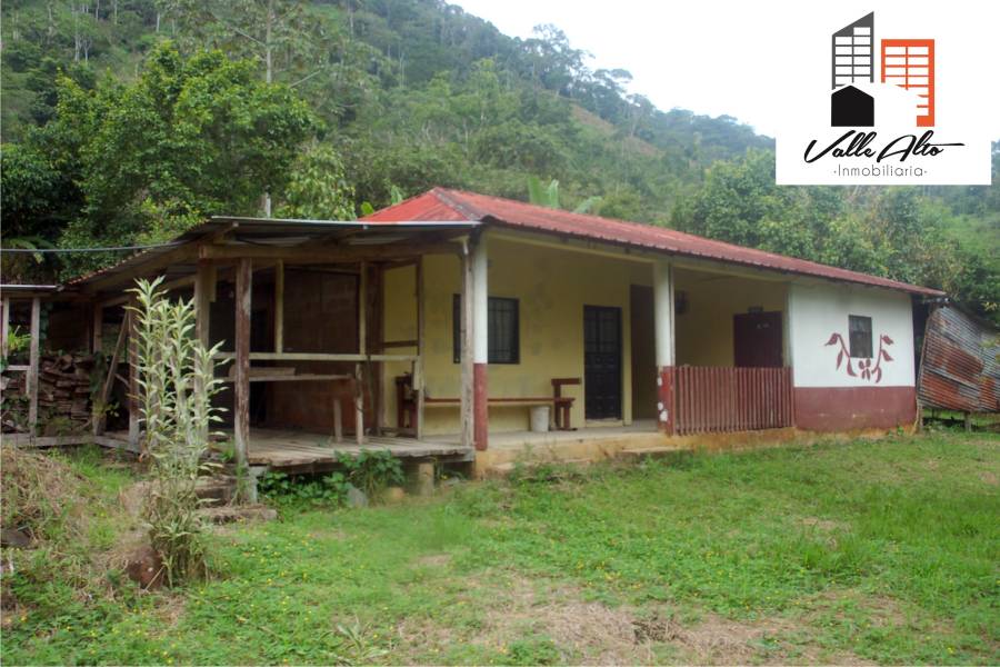 El Pangui, New York, USA, ,Lotes-Terrenos,Venta,1,43201