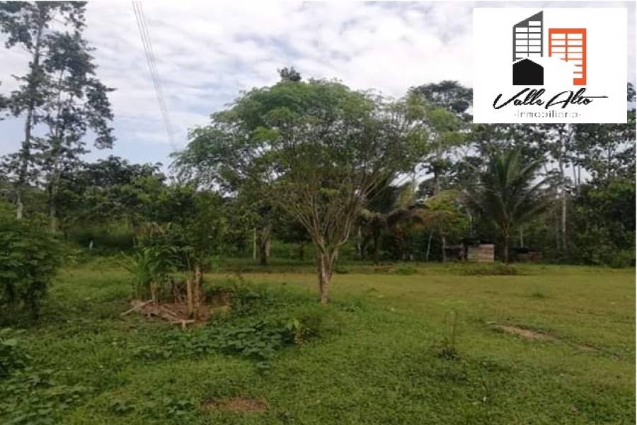 El Coca, New York, USA, ,Lotes-Terrenos,Venta,43202