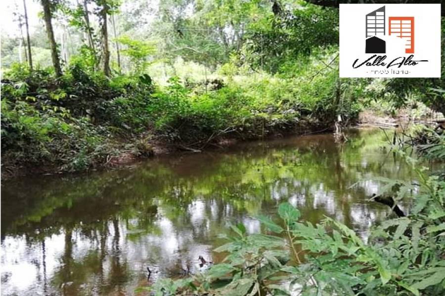 El Coca, New York, USA, ,Lotes-Terrenos,Venta,43202