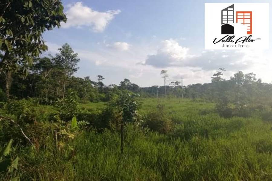 El Coca, New York, USA, ,Lotes-Terrenos,Venta,43202