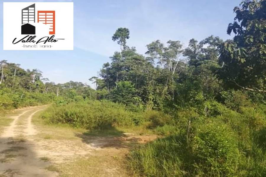 El Coca, New York, USA, ,Lotes-Terrenos,Venta,43202