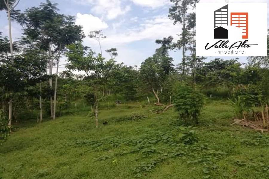 El Coca, New York, USA, ,Lotes-Terrenos,Venta,43202