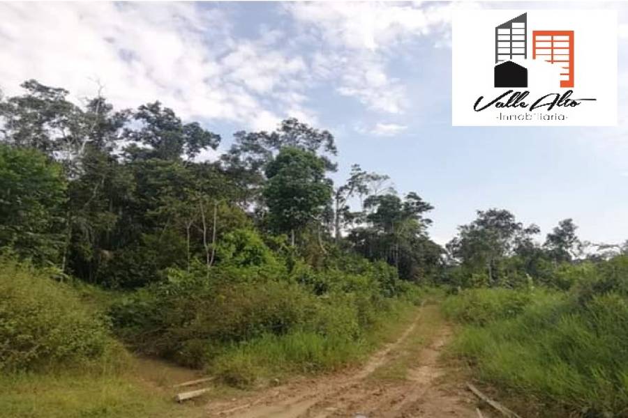 El Coca, New York, USA, ,Lotes-Terrenos,Venta,43202