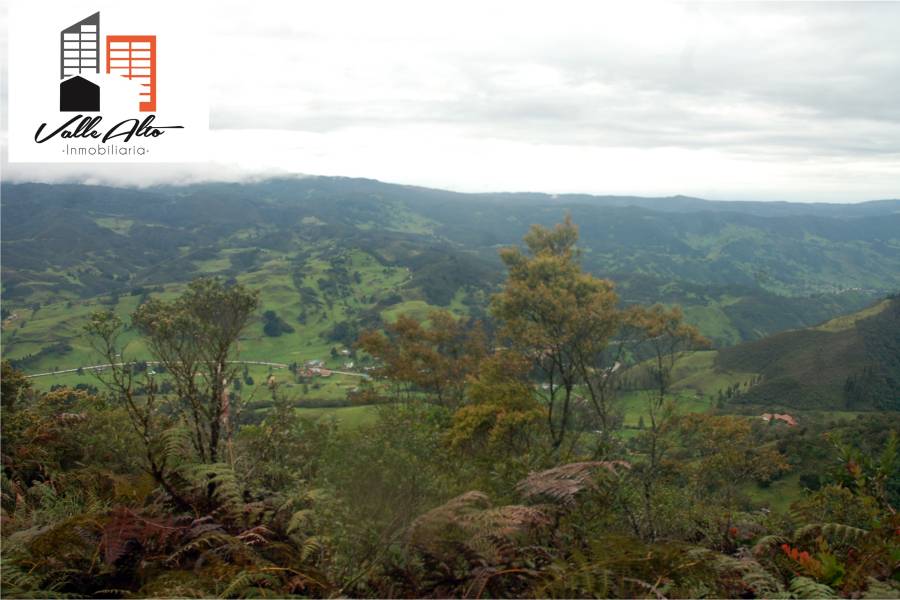 CUENCA, Cuenca, España, ,Lotes-Terrenos,Venta,43206