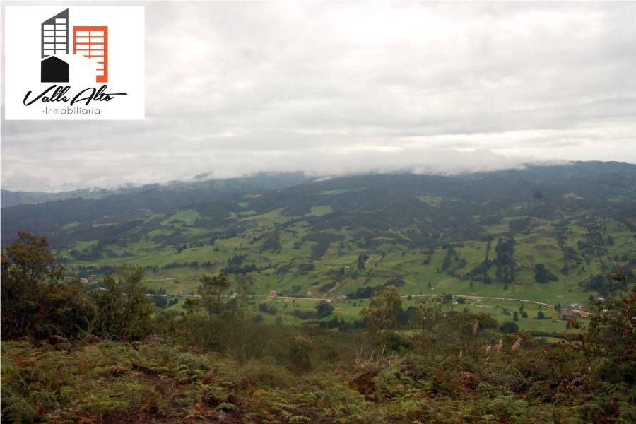 CUENCA, Cuenca, España, ,Lotes-Terrenos,Venta,43206