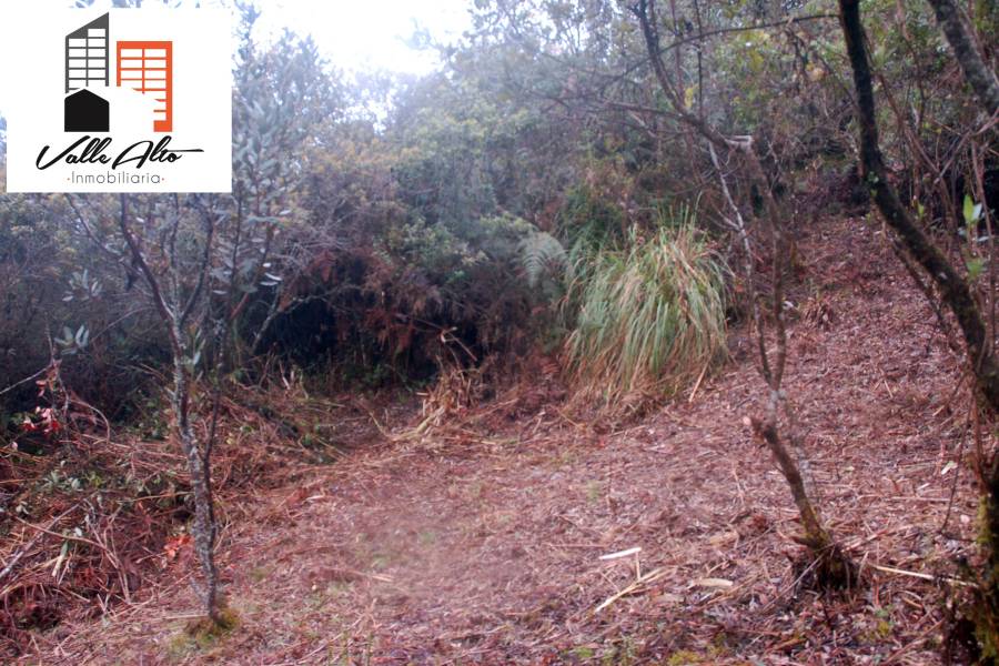 CUENCA, Cuenca, España, ,Lotes-Terrenos,Venta,43206