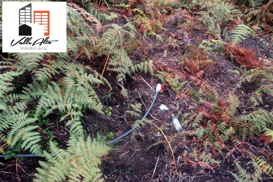 CUENCA, Cuenca, España, ,Lotes-Terrenos,Venta,43206