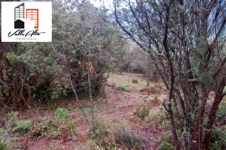 CUENCA, Cuenca, España, ,Lotes-Terrenos,Venta,43206