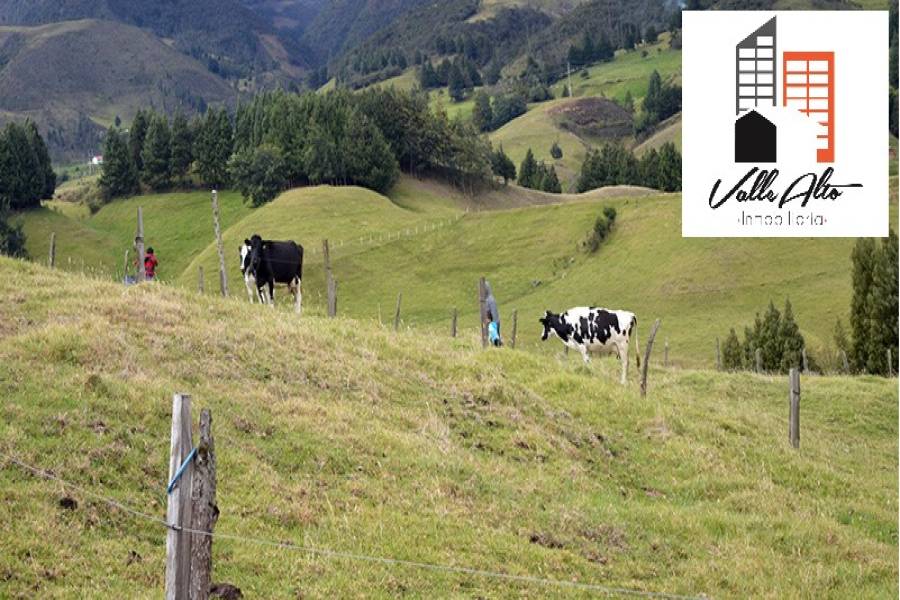 CUENCA, Cuenca, España, ,Lotes-Terrenos,Venta,43206