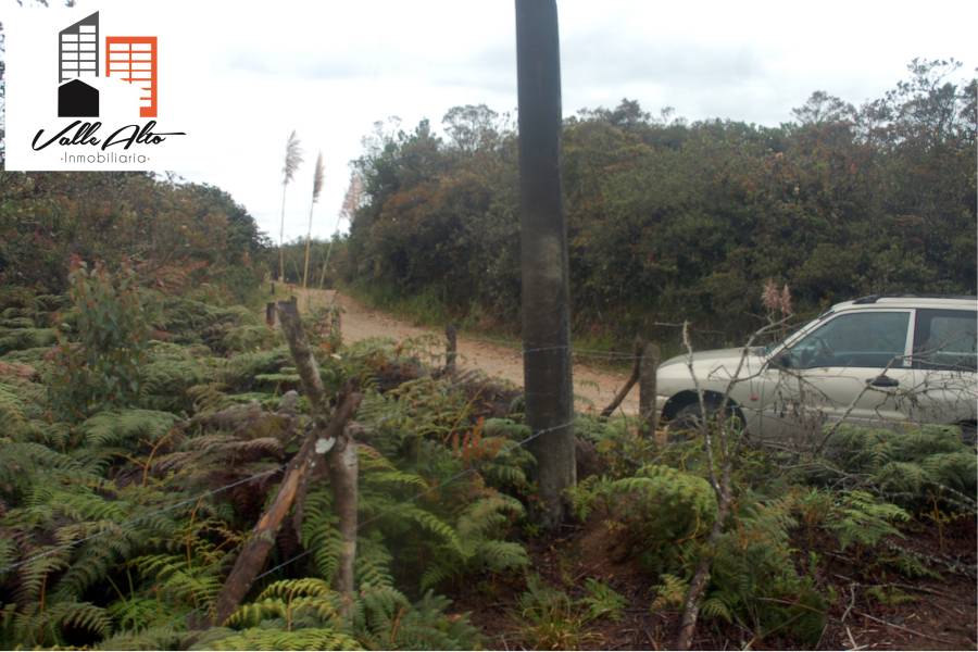 CUENCA, Cuenca, España, ,Lotes-Terrenos,Venta,43206