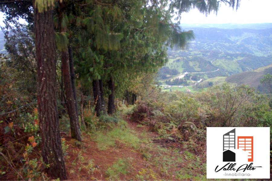 CUENCA, Cuenca, España, ,Lotes-Terrenos,Venta,43206