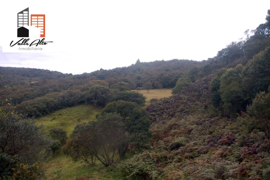 CUENCA, Cuenca, España, ,Lotes-Terrenos,Venta,43206